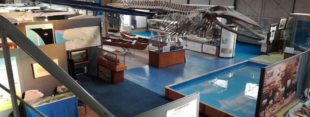 Maritime, Fluvial and Harbour Museum of Rouen Travel Forum Reviews
