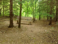 Marksam Park Travel Forum Reviews