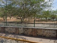 Marquez Park Travel Forum Reviews