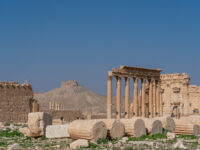 Marrota Travel & Tourism Travel Forum Reviews