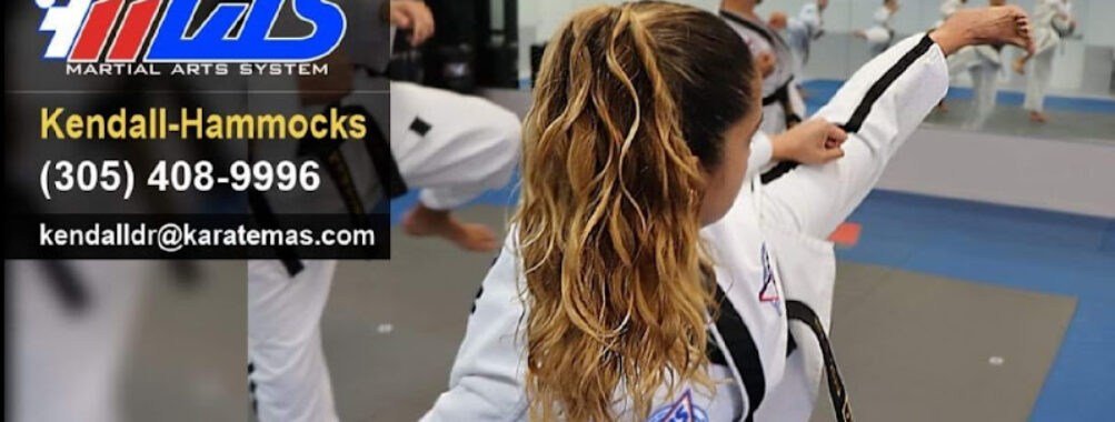 Martial Arts System (Kendall Hammocks) Travel Forum Reviews