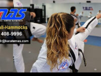 Martial Arts System (Kendall Hammocks) Travel Forum Reviews