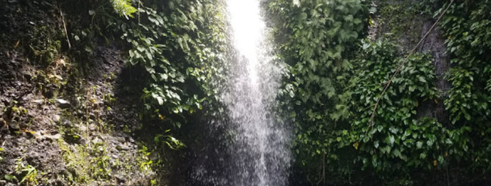 Martin Falls Travel Forum Reviews