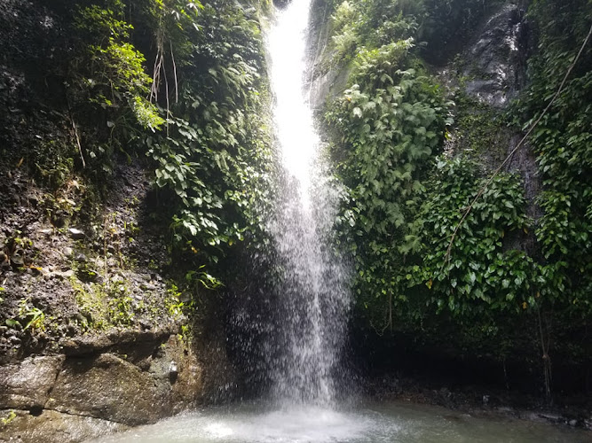 Martin Falls