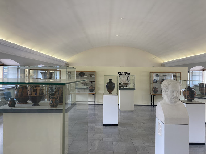 Martin von Wagner Museum