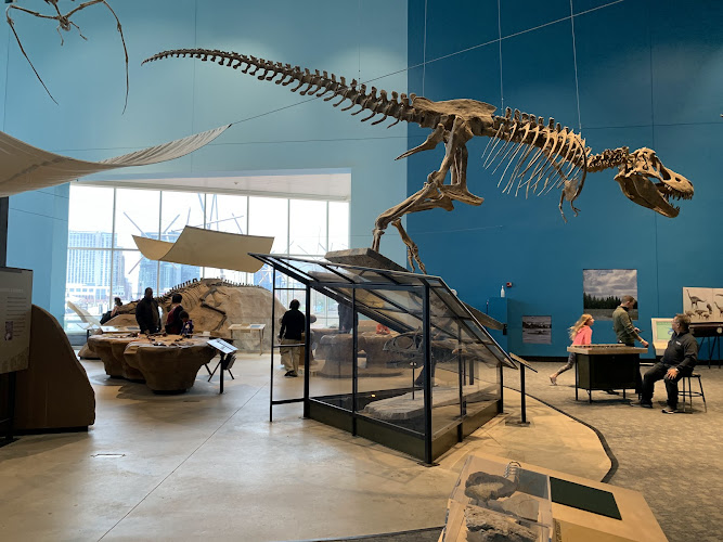Maryland Science Center — Reviews, Tips & Photos (2026)