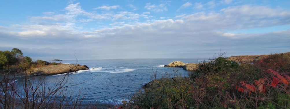 Mass Audubon's Nahant Thicket Wildlife Sanctuary Travel Forum Reviews