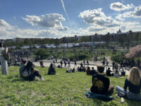 Mauerpark Travel Forum Reviews