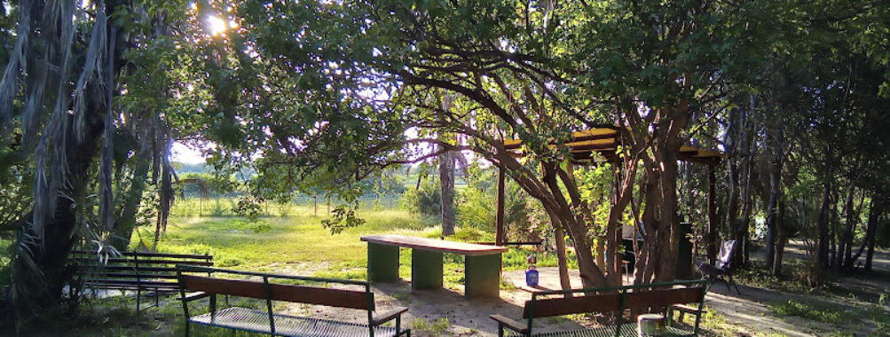 Maun Travel Forum Reviews