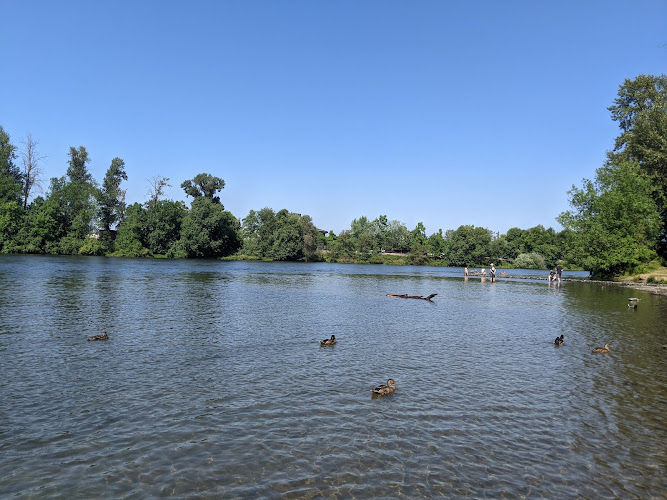 Maurie Jacobs Park