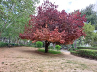 Mavromichali park Travel Forum Reviews