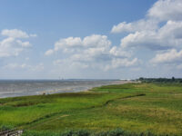 May Bird Watching Tower Travel Forum Reviews