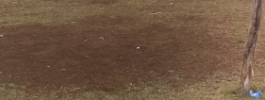Maya Mopan Football Field Travel Forum Reviews