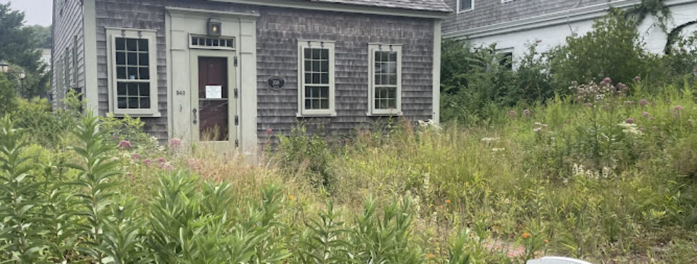 Mayo House Travel Forum Reviews
