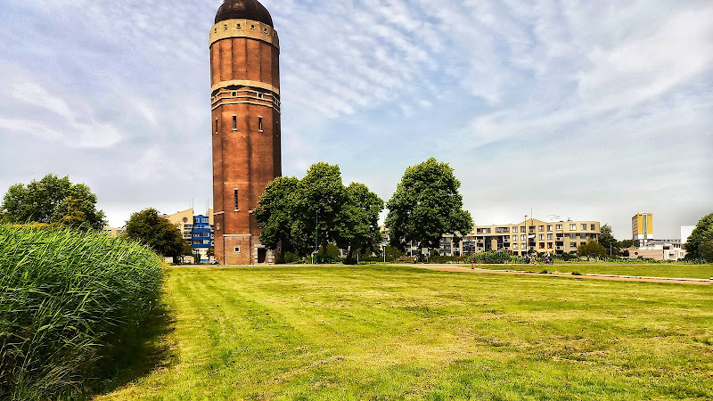 Mayor Hoekstrapark