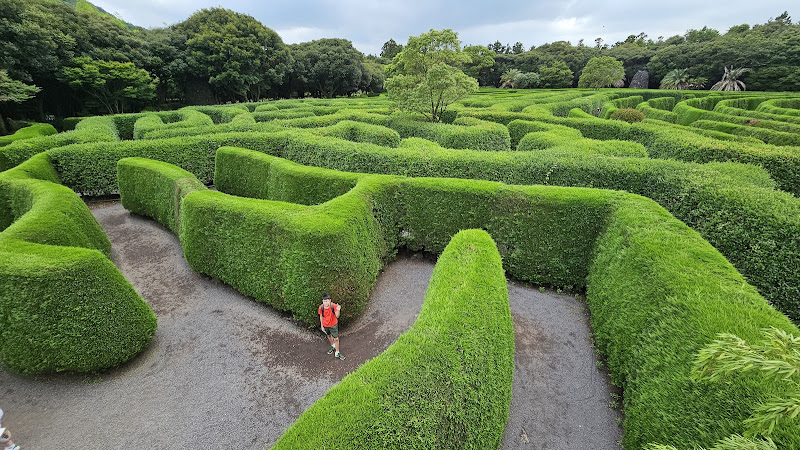 Maze Land
