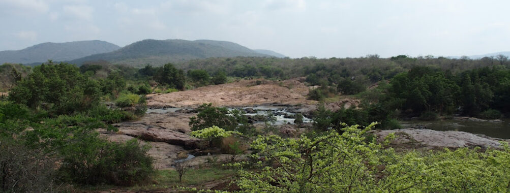 Mbuluzi Game Reserve Travel Forum Reviews