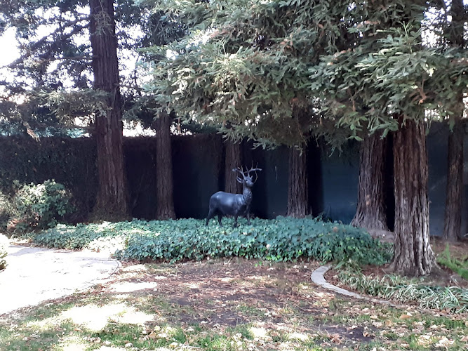 McClatchy Square