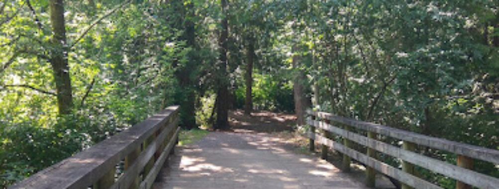McCollum Park Forest Loop Trail Travel Forum Reviews