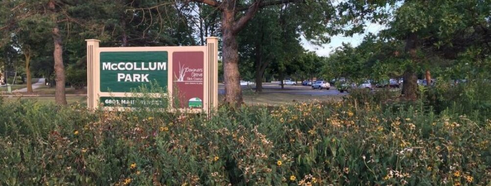 McCollum Park