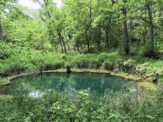 McConnell Springs Park