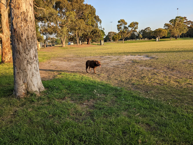 McDonell Park