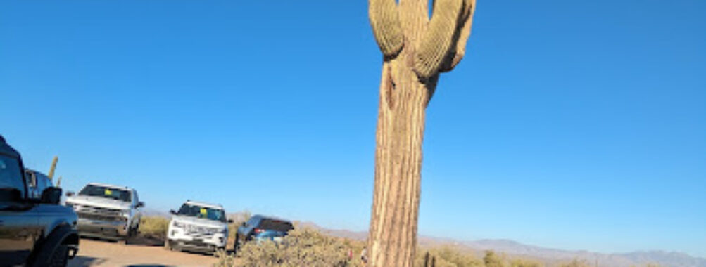 McDowell Mountain Regional Park Travel Forum Reviews