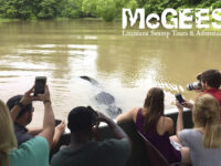 McGee's Louisiana Swamp & Airboat Tours Travel Forum Reviews