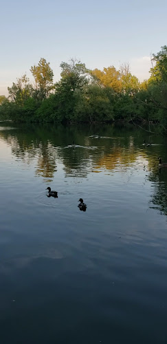 McKinley Park