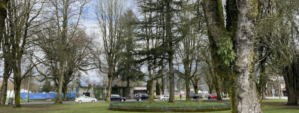 McMitchell Park Travel Forum Reviews