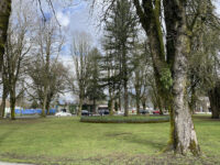 McMitchell Park Travel Forum Reviews