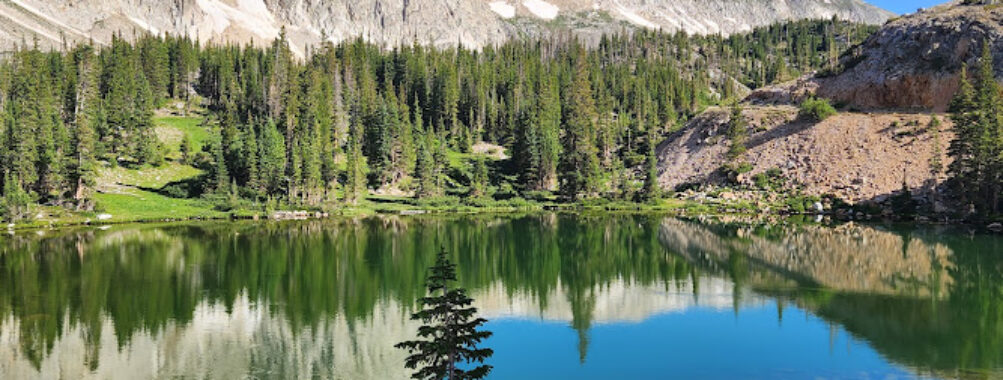 Medicine Bow-Routt National Forest Travel Forum Reviews
