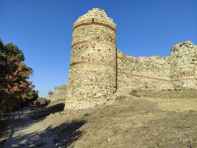 Medieval Fortress Neutzikon
