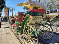 Medina Travel Forum Reviews