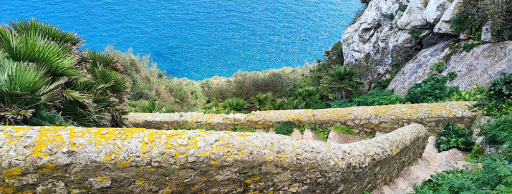 Mediterranean Steps Travel Forum Reviews