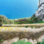 Mediterranean Steps