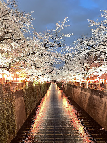 Meguro River