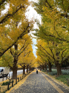 Meiji Jingu Gaien