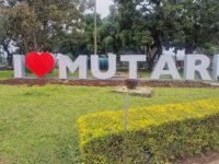 Meikles Park Travel Forum Reviews