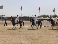 Mela Mandi Ground Travel Forum Reviews