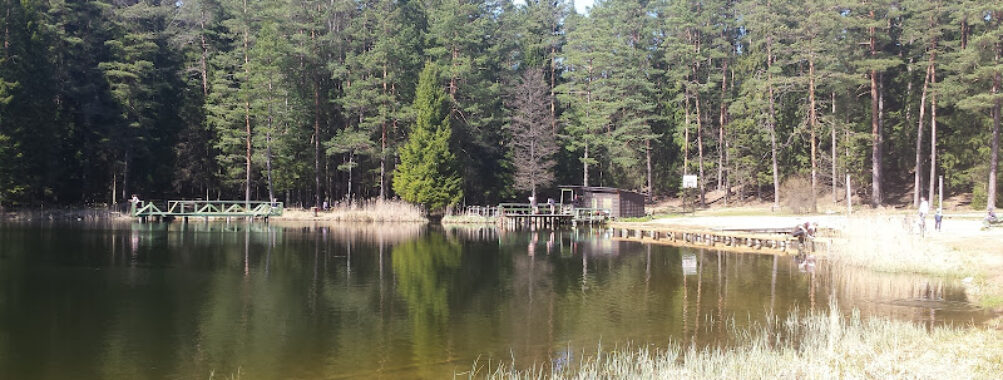 Melnezers Travel Forum Reviews
