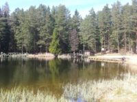 Melnezers Travel Forum Reviews