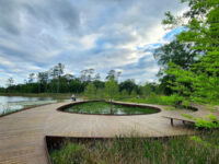 Memorial Park Travel Forum Reviews