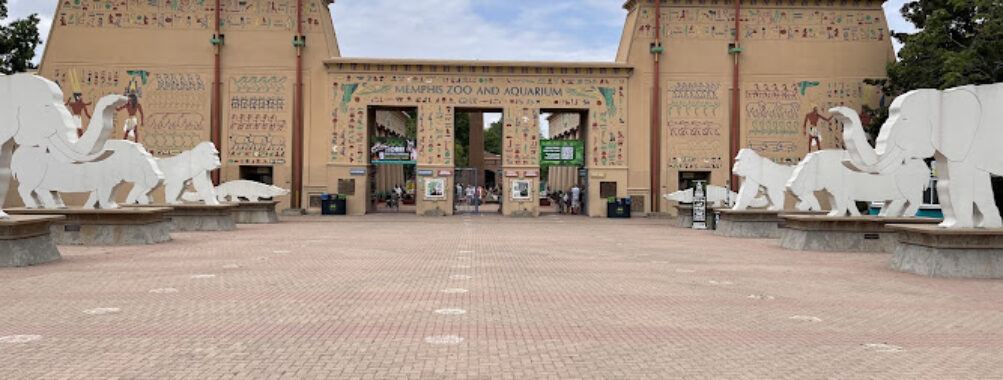 Memphis Zoo Travel Forum Reviews