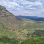 Menengai crater forest