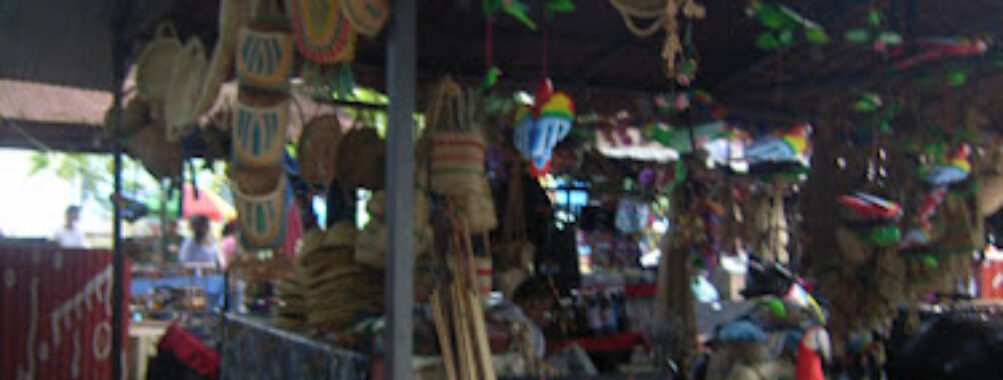 Mercado Indigena Travel Forum Reviews