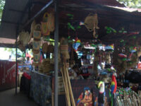 Mercado Indigena Travel Forum Reviews