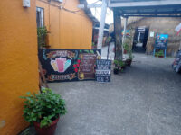 Mercado Newen Travel Forum Reviews