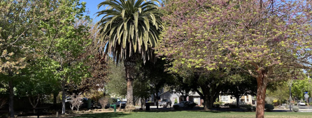 Mercy-Bush Park Travel Forum Reviews