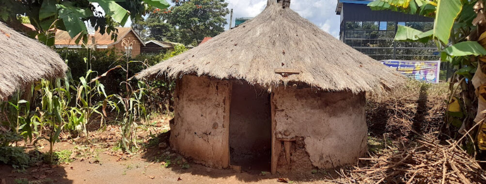 Meru Museum Travel Forum Reviews